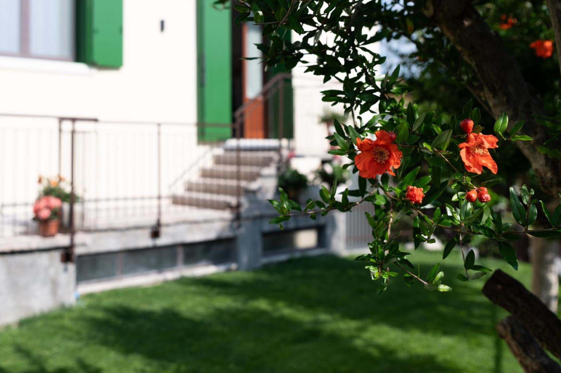Giardino Del Borgo Appartamento Valpolicella SantʼAmbrogio di Valpolicella Exterior foto